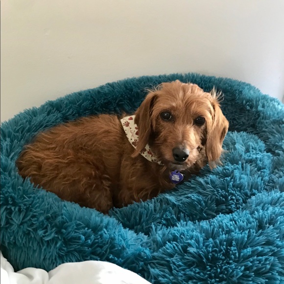 Meet your Posher, Ashley - Picture 2 of 4